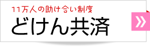 どけん共済